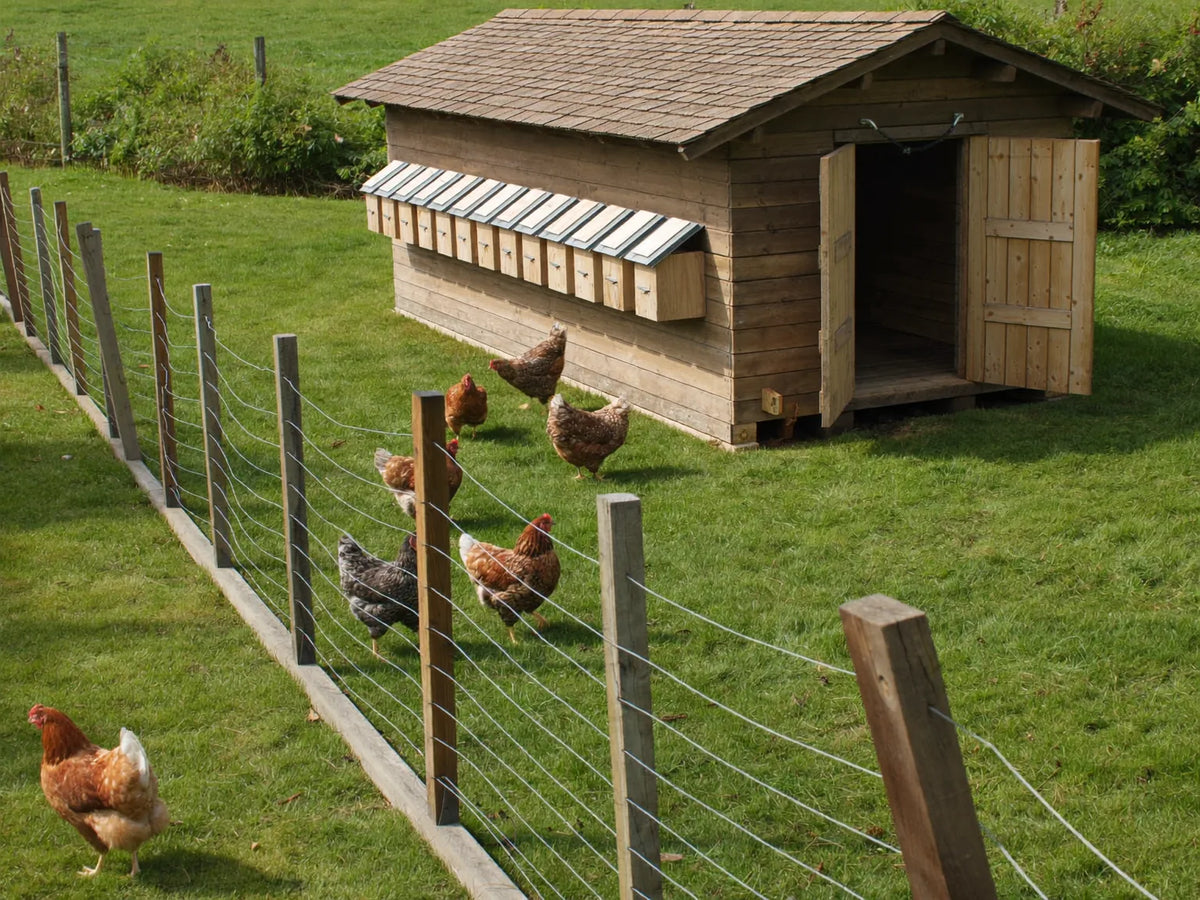 Large static wooden hen house on skids with a bank of nest boxes, hens ranging on level grass around it