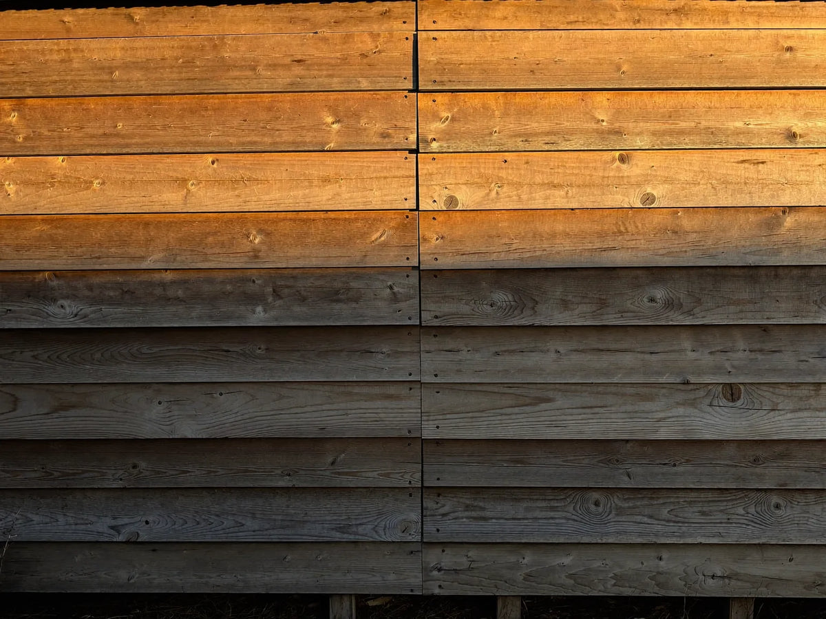 Lapped wooden boards on the side wall of a backyard chicken coop, low sun raking across the joints