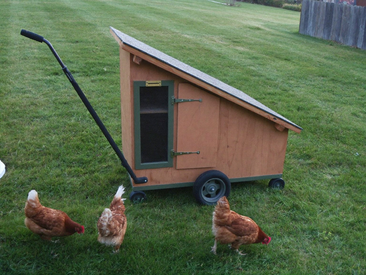Small wheeled chicken coop with a tow handle parked on a lawn, three hens foraging beside it