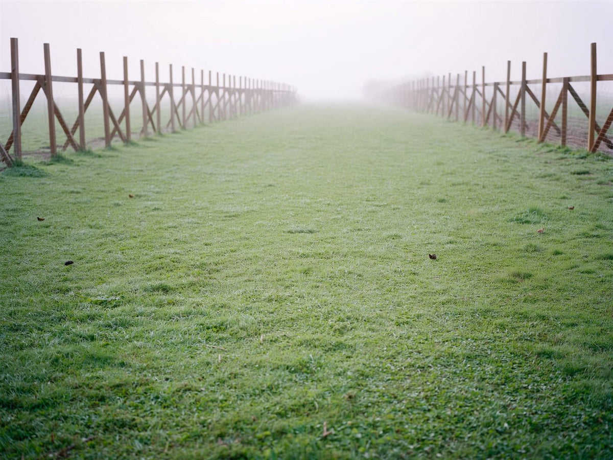 Long fenced grass chicken run at dawn — the floor area every capacity claim has to answer to