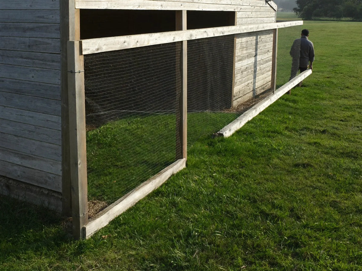 Plain wooden chicken coop with an attached mesh run on mown grass, an adult standing at one end with a hand on the frame