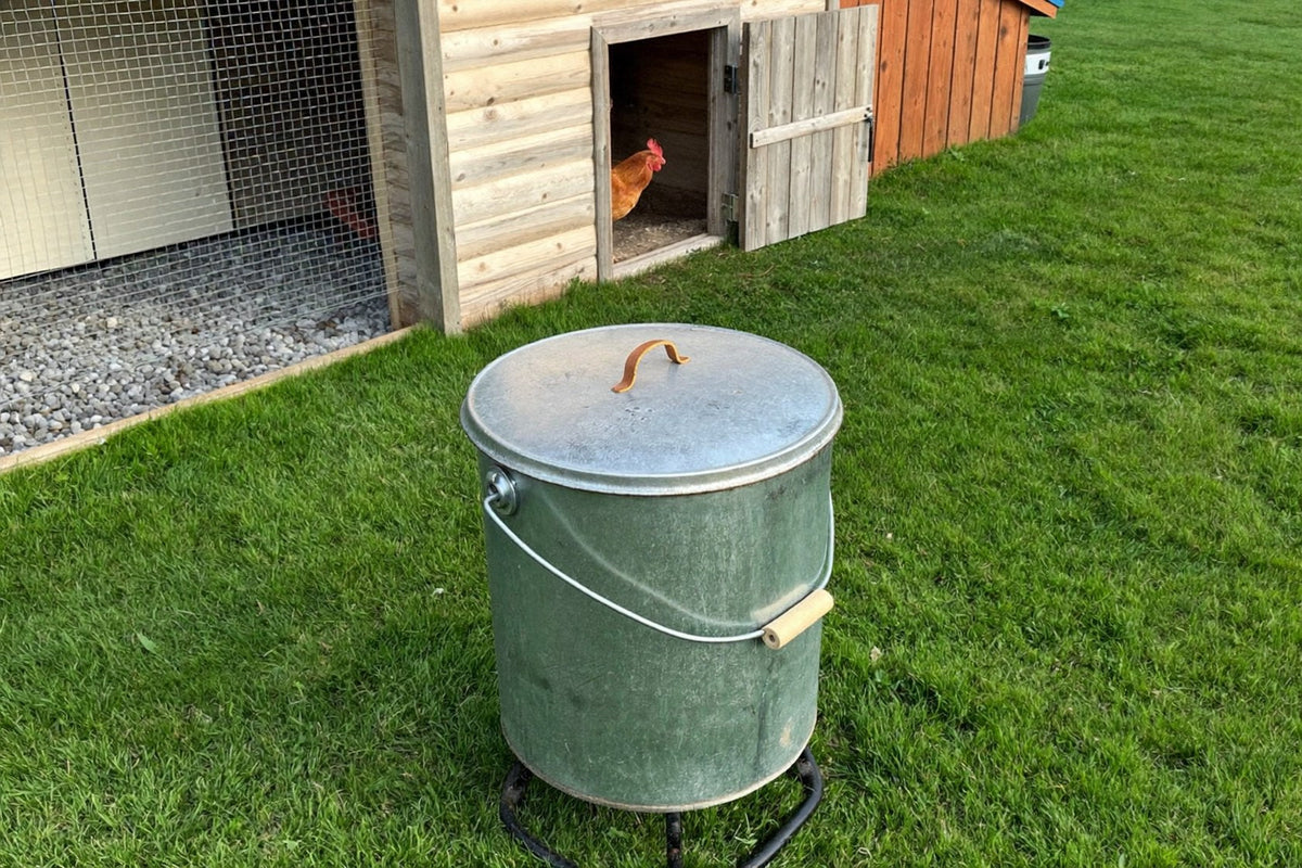 Galvanized metal feed can with a closed lid beside a wooden chicken coop and its mesh run