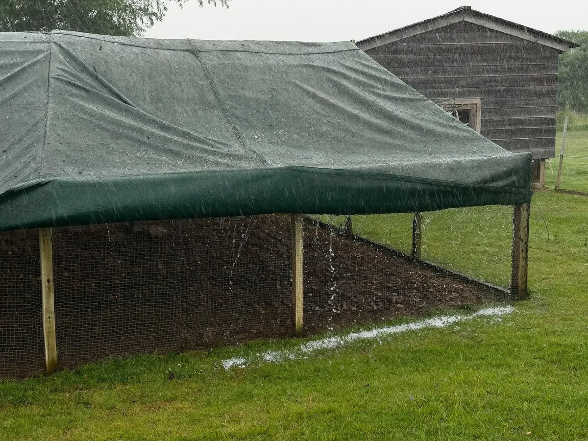 Rain running off a tarp stretched over the mesh run of a wooden chicken coop