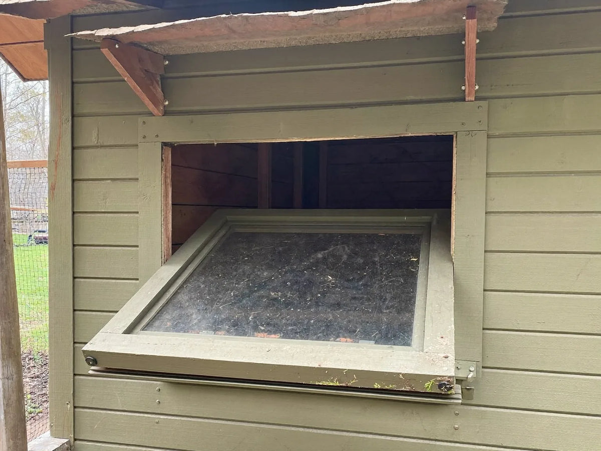 Hinged window propped open in the timber wall of a backyard chicken coop with daylight coming through it