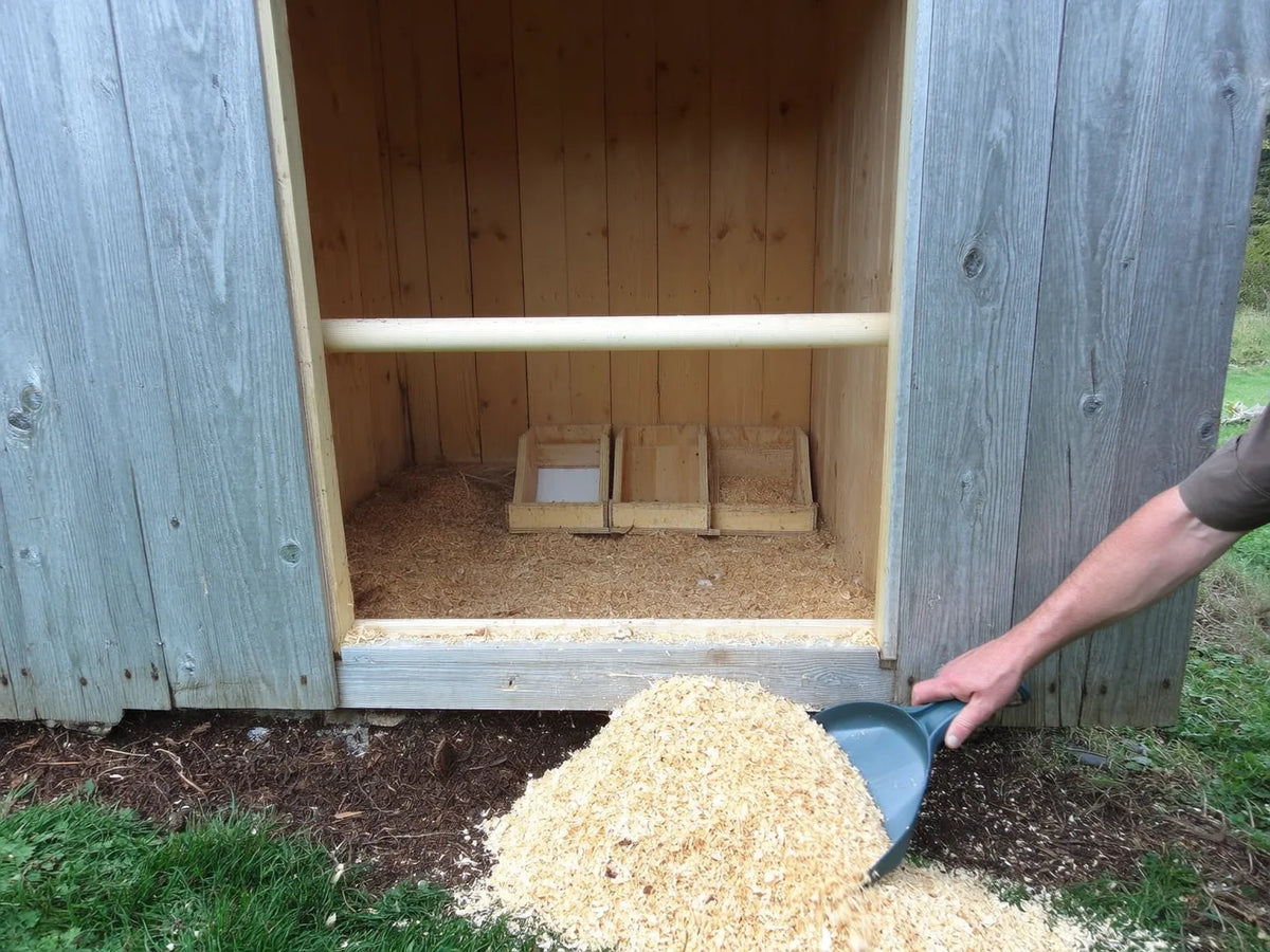 Scraper pushing loose wood shavings across the floor of an open wooden chicken coop on a mown lawn