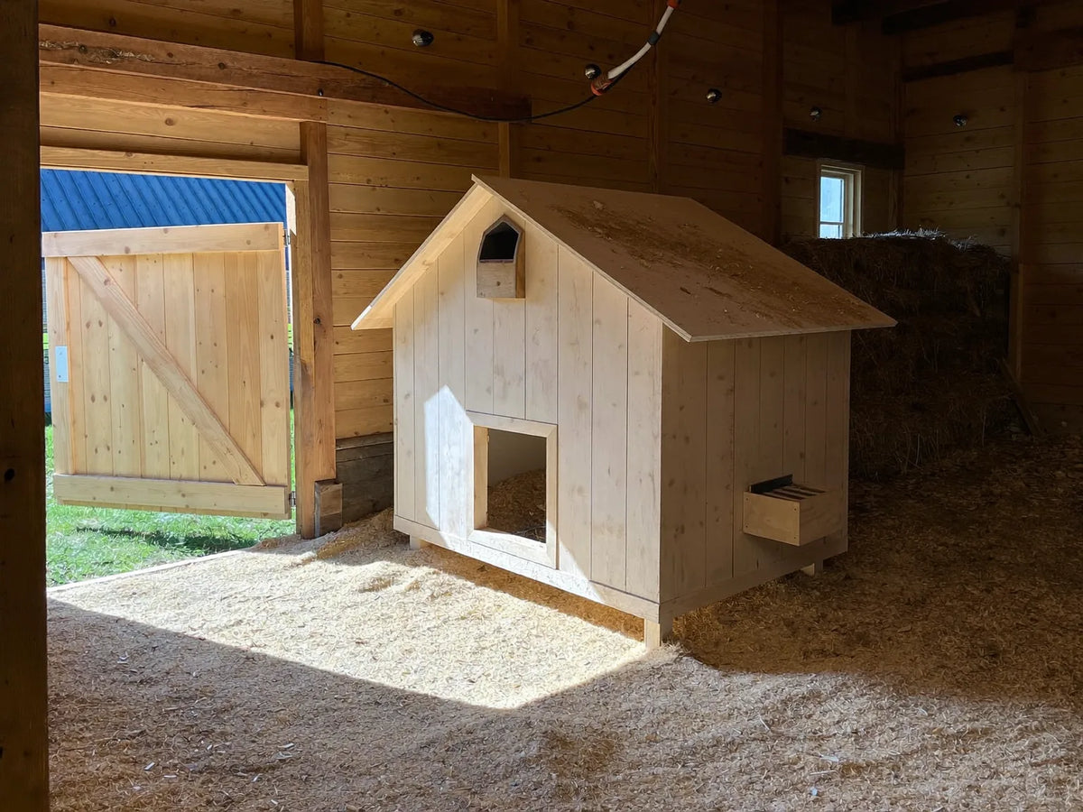 Wooden hen house standing inside a timber barn bay, daylight from an open doorway falling across the bedded floor
