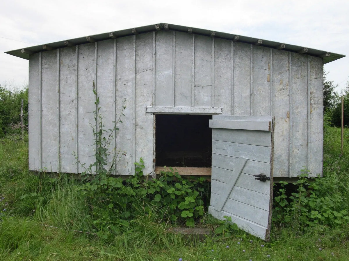 Long-disused wooden chicken coop at the end of a garden, paint flaking and grass grown up around its base