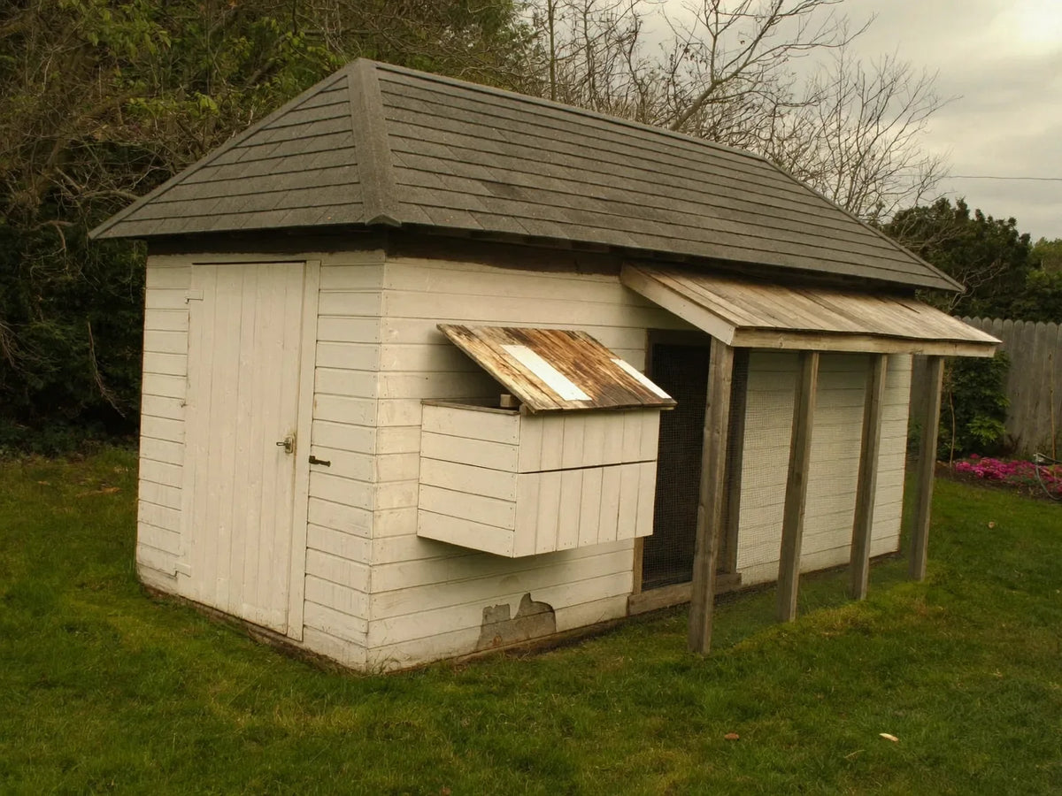 Pale painted wooden chicken coop with an attached run standing on mown backyard grass
