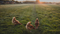 Mobile chicken coops