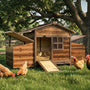 Small Wooden Chicken Coop with 2 Nesting Boxes — 2 Hens
