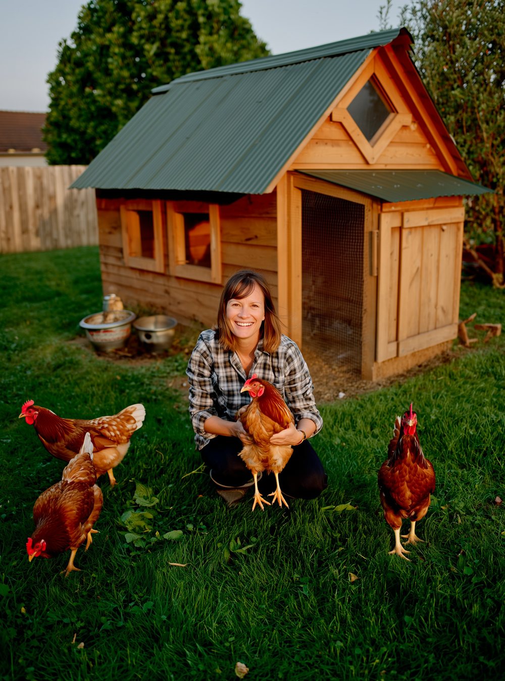 Backyard keeper holding a hen beside a green-roofed wooden chicken coop at golden hour